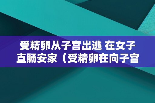 受精卵从子宫出逃 在女子直肠安家（受精卵在向子宫移动的过程中形成）