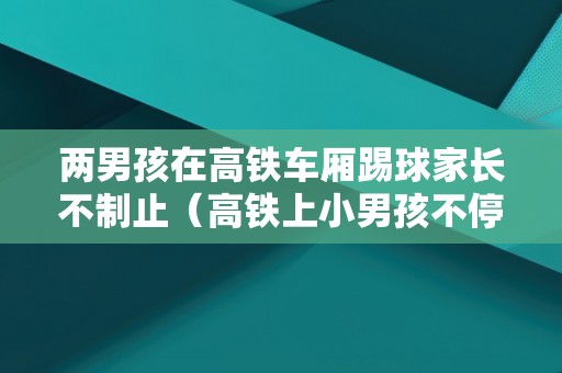 两男孩在高铁车厢踢球家长不制止（高铁上小男孩不停踢）