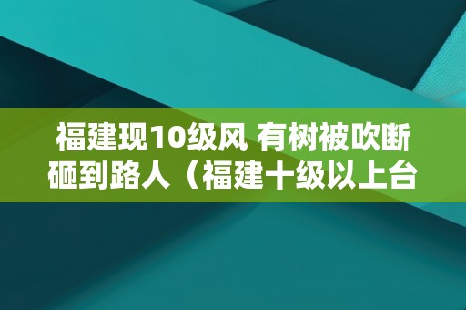 福建现10级风 有树被吹断砸到路人（福建十级以上台风有哪些）