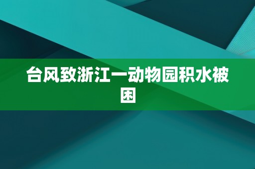 台风致浙江一动物园积水被困